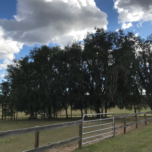 Meet your Posher, Steven - Picture 1 of 1